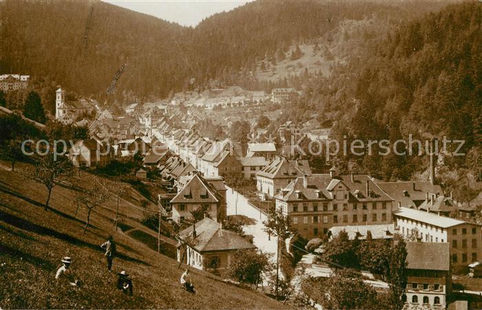 Triberg Schwarzwald Panorama