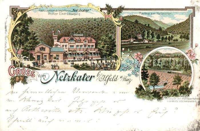 Netzkater Restaurant-Logirhaus Netzkater Viadukt Harzquerbahn Litho