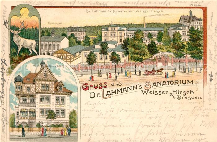 Dresden Dr. Lahmann's Sanatorium Weisser Hirsch Villa Heinrichshof Litho