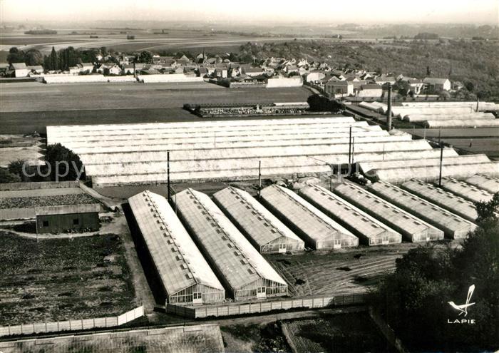Mandres-les-Roses Fliegeraufnahme Gewaechshaeuser