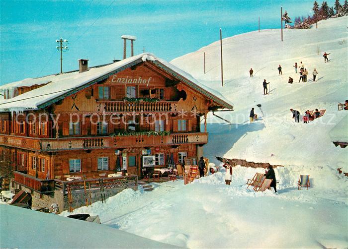 Zell Ziller Tirol Alpengasthof Enzianhof