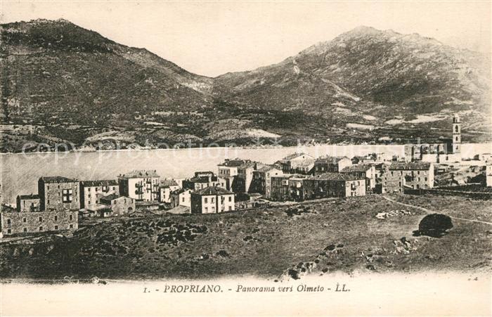 Propriano Panorama vers Olmeto