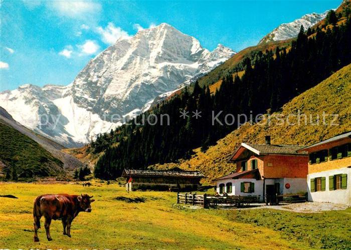 Pinnisalm mit Habicht im Stubaital Kuh