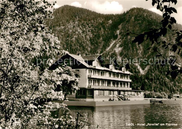 Plansee Hotel Forelle
