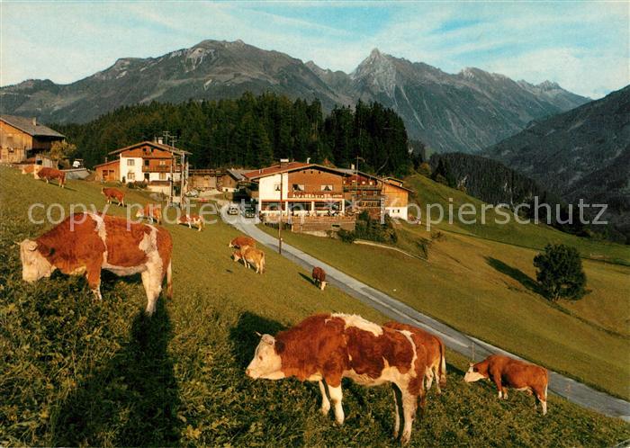 Astegg Zillertal Alpendoerfli Blick gegen Brandberger Kolm Kuehe