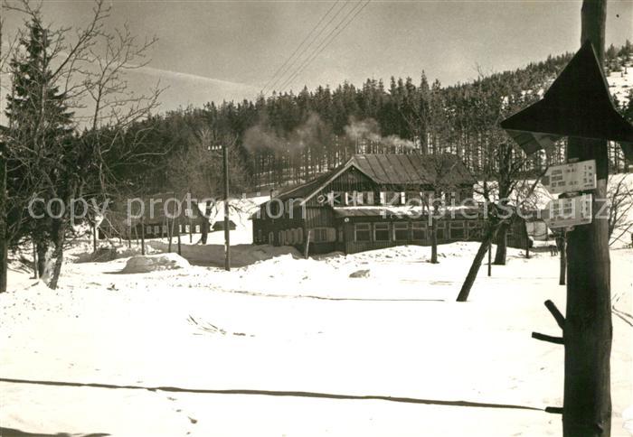 Korenov Zavod Morina
