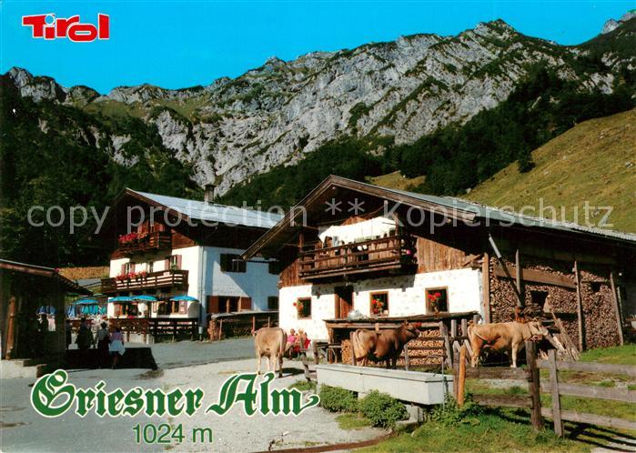 Kirchdorf Tirol Gasthof Griesner Alm