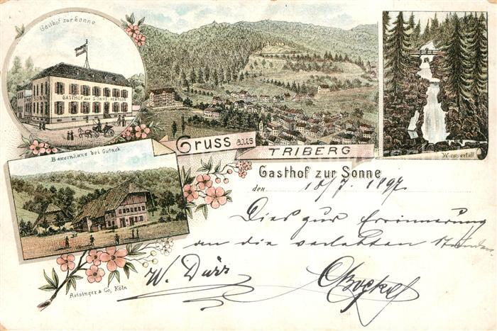 Triberg Schwarzwald Gasthof Sonne Wasserfall Bauernhaus