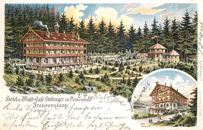 Freudenstadt Hotel Stokinger Palmenwald