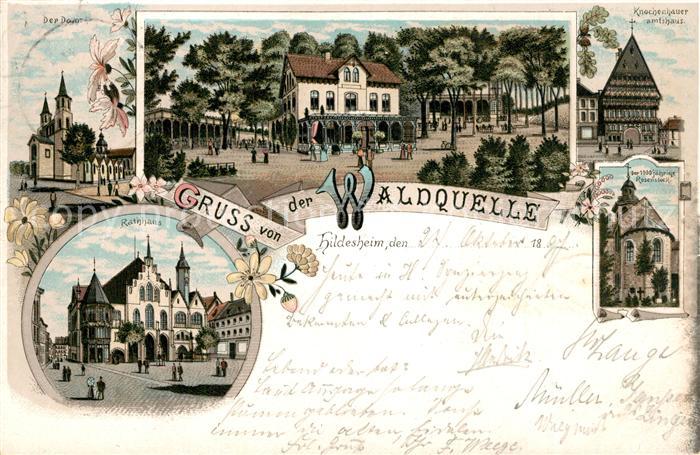 Hildesheim Waldquelle Dom Rathaus Knochenhauer Amtshaus