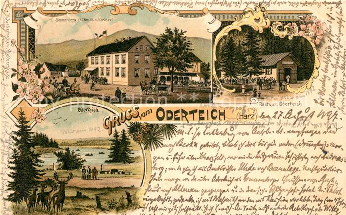 Braunlage Oderteich Sonnenberg Restaurant