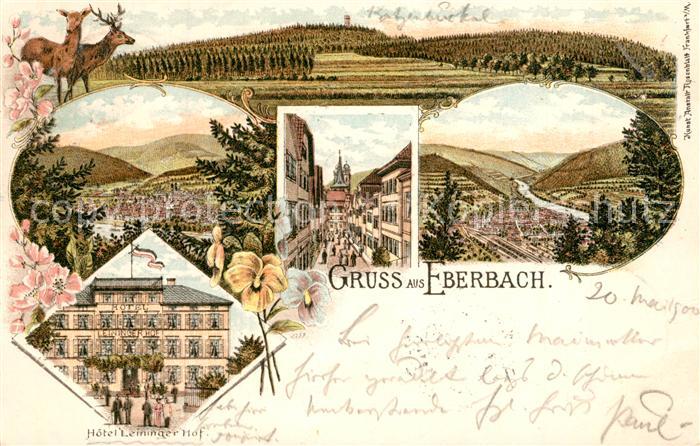 Eberbach Baden Hotel Leininger Hof