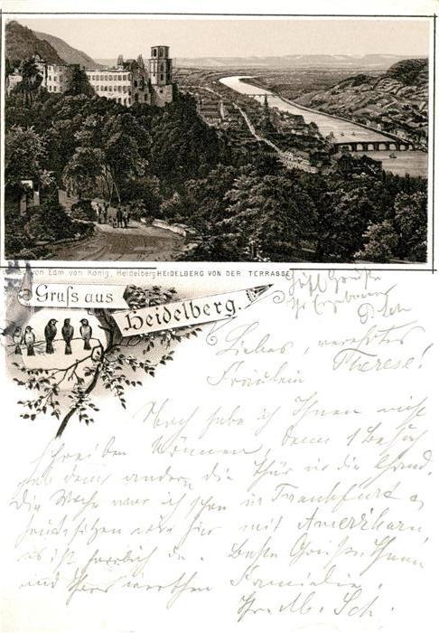 Heidelberg Neckar Schloss
