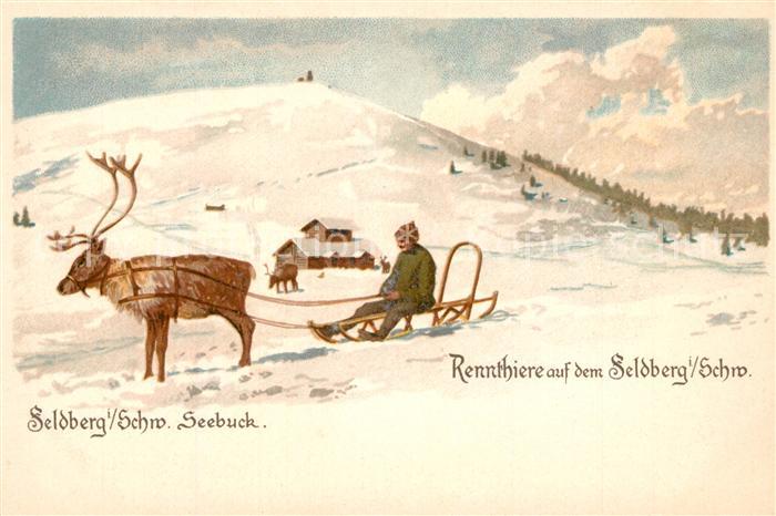 Feldberg Schwarzwald Renntiere