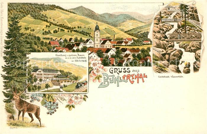 Buehlertal Gasthaus zum grpnen Baum Gertelbach-Wasserfaelle