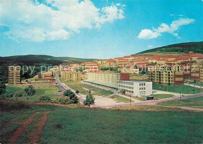 Mezibori