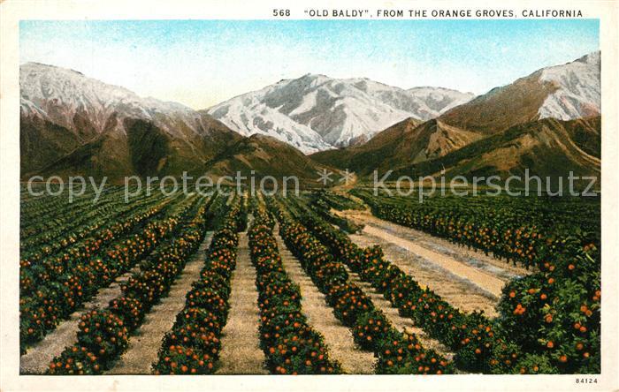 California US-State Old Baldy from the Orange Groves