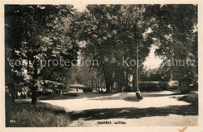 Colombier Allier Les Allees