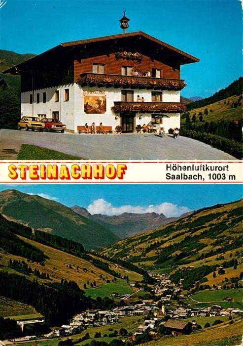 Saalbach-Hinterglemm Steinachhof Panorama