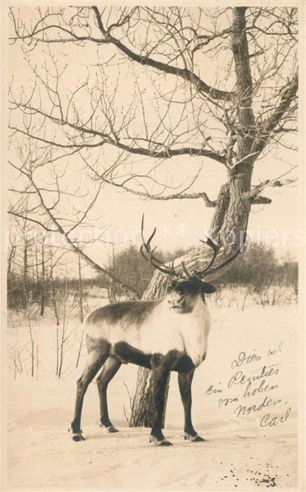 Juneau Alaska Rentier