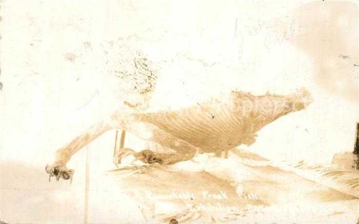 Yuma Arizona Freak Fish Exhibition