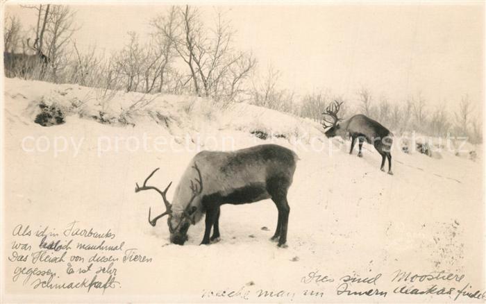 Juneau Alaska Rentiere
