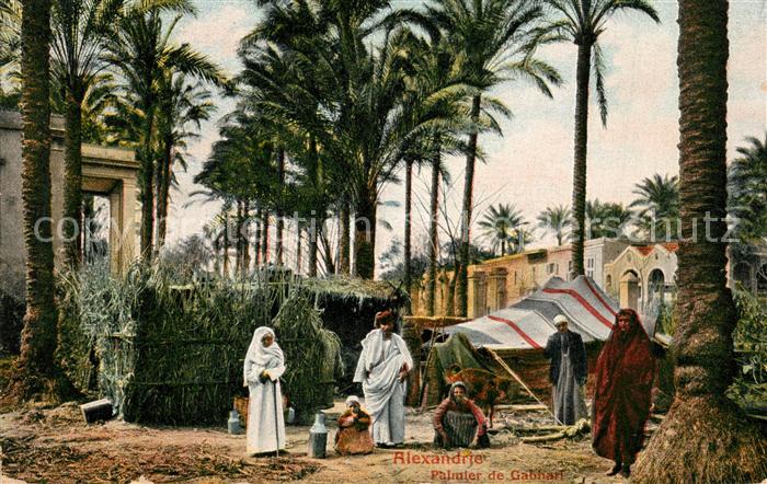 Alexandrie Alexandria Palmier de Gabbari