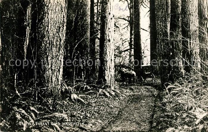 Seattle Forest Road Pferdekutsche