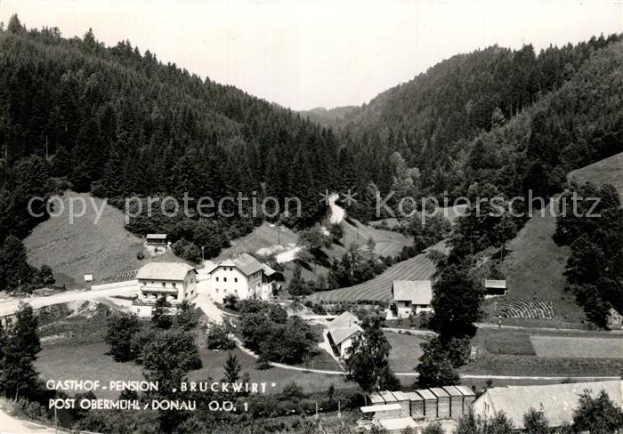 Obermuehl Donau Gasthof Pension Bruckwirt