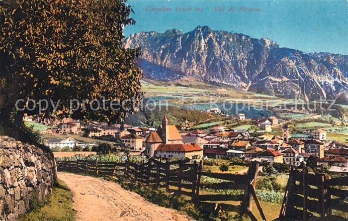 Cavalese Panorama