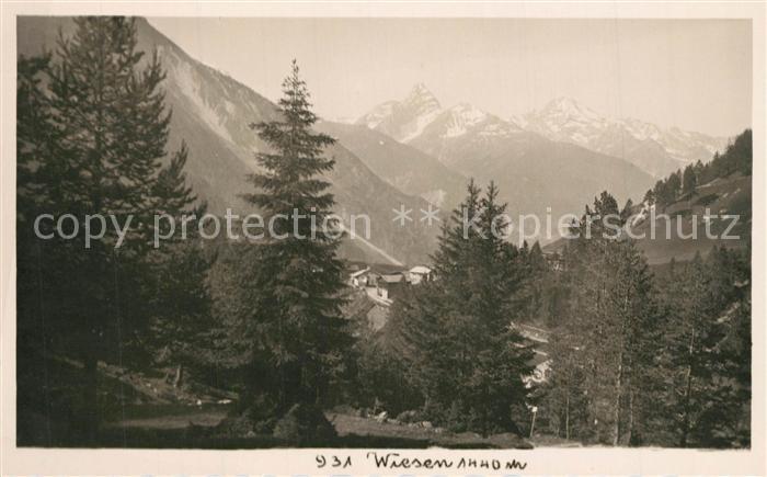 Wiesen Burgenland Panorama