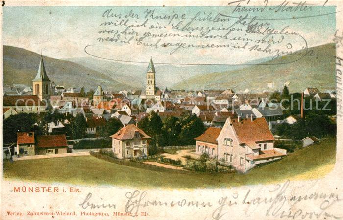 Muenster Elsass Panorama