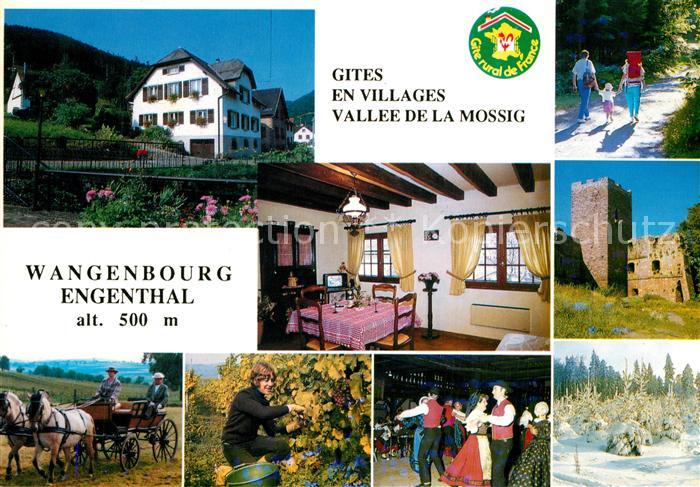 Wangenbourg-Engenthal Gites en villa Vallee de la Mossig
