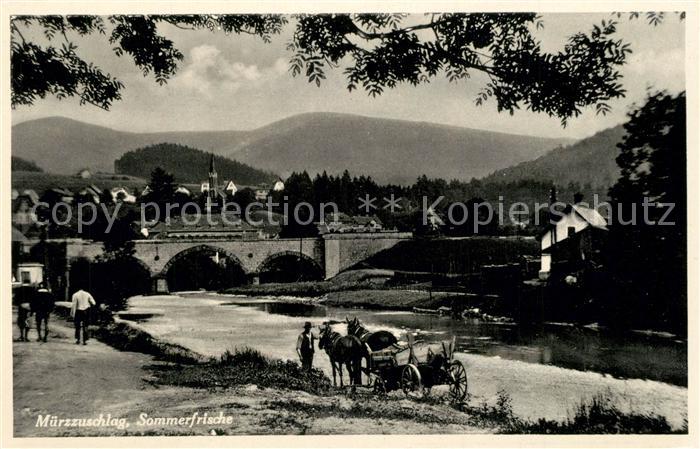 Muerzzuschlag Pferdewagen Bruecke Panorama