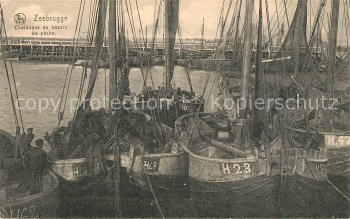 Zeebrugge Chaloupes au bassin de peche
