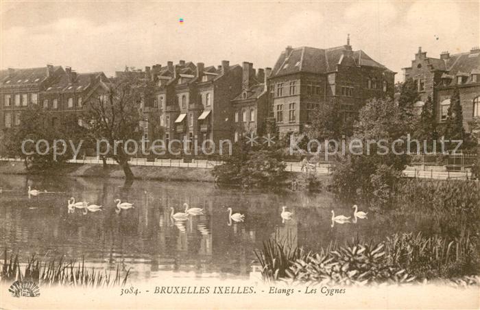 Ixelles Etangs Les Cygnes