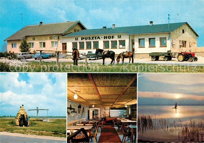 Illmitz Puszta Hof mit Kellerstüberl See Ziehbr