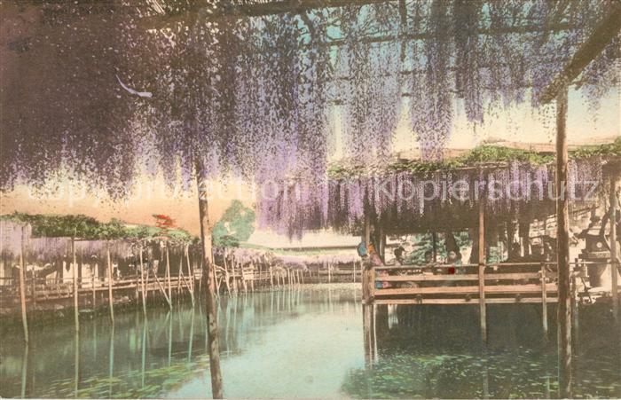 Yokohama Blauregen Terrassen