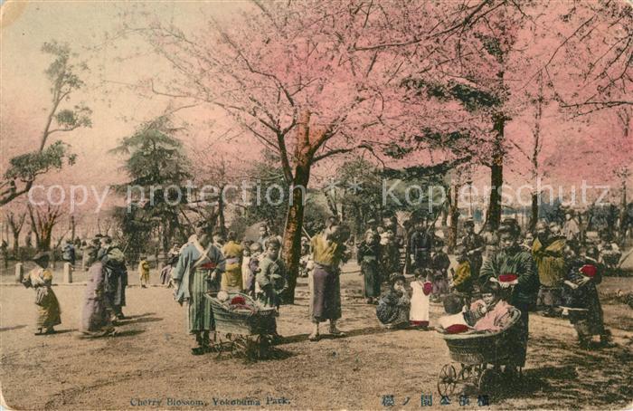 Yokohama Cherry Blossom Yokohama Park