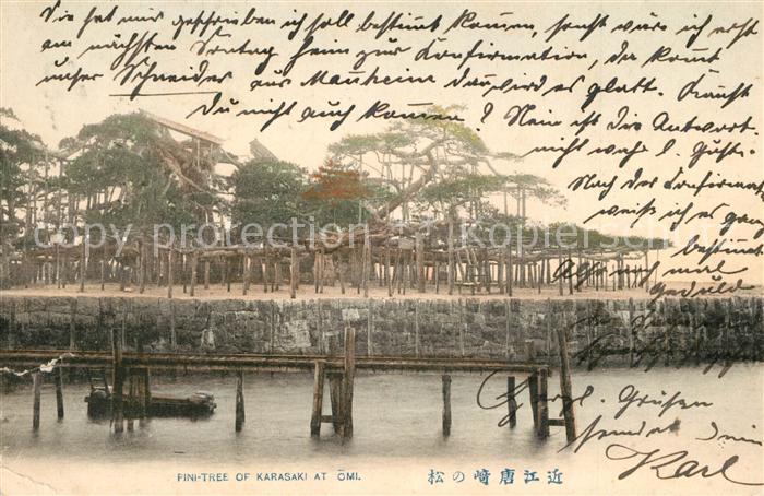 Japan Fini Tree of Karasaki at Oml