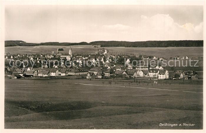 Deisslingen Neckar Panorama