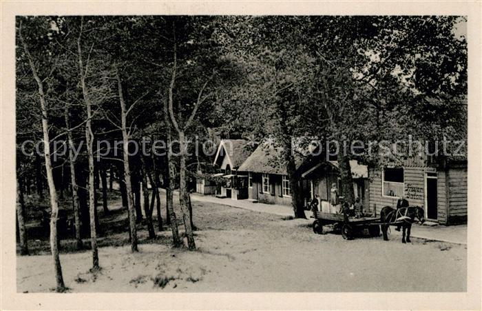 Prerow Ostseebad Strandstrasse