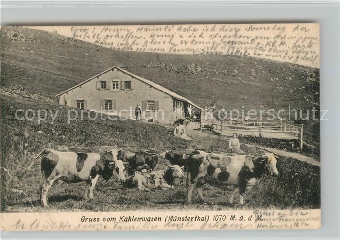 Muenstertal Schwarzwald Kahlenwasen Bauernhof