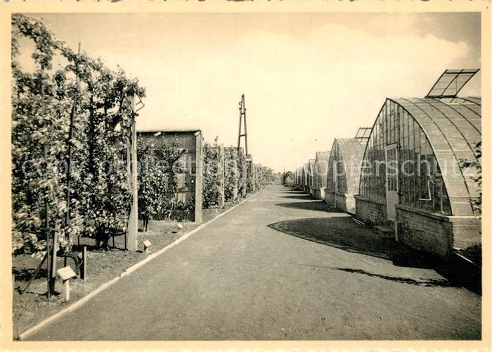 Vilvoorde Rijkstuinbouwschool De Groep fruitkassen Wijngaard en perzik