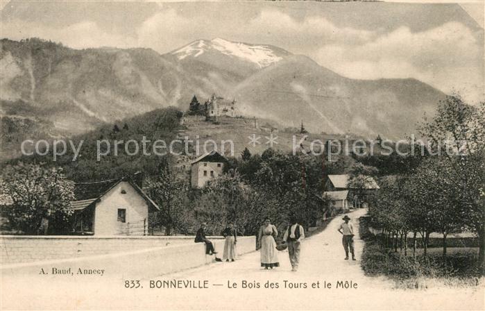 Bonneville Haute-Savoie Le Bois des Tours et le Môle Alpes