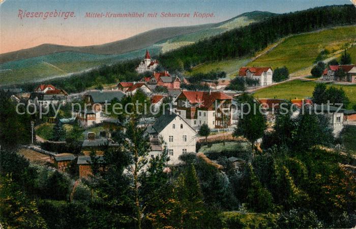 Krummhuebel Riesengebirge Panorama mit Schwarze Koppe