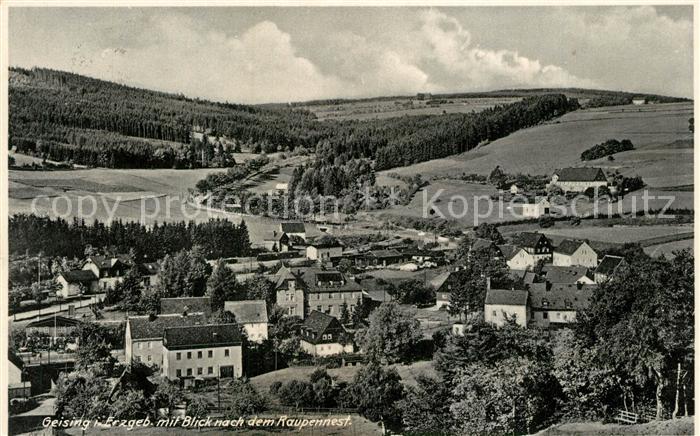 Geising Erzgebirge mit Raupennest