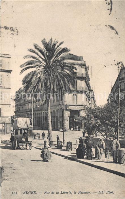 Alger Algerien Rue de la Libert? Palmier