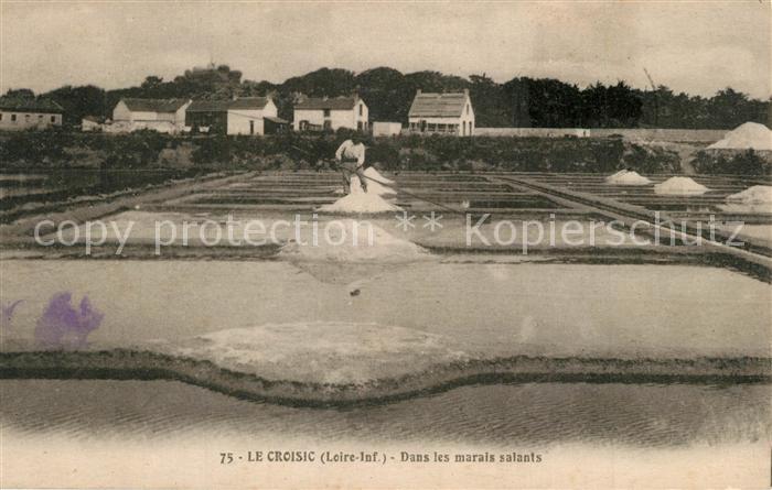 Croisic Le Dans les marais salants