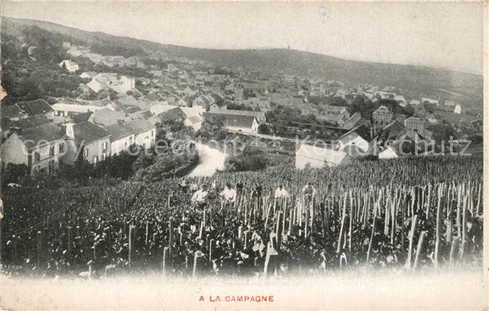 Campagne Oise Panorama